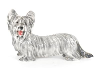 Skyeterrier, - Antiquariato