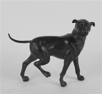 Boxer Hund, - Antiquitäten