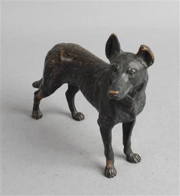 Schäferhund, - Antiquariato