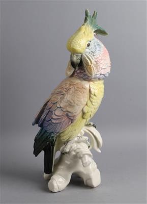 Großer Kakadu, - Antiquitäten