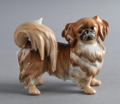 Pekinese, - Starožitnosti