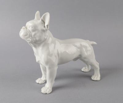 Rudolf Rehbein, Französische Bulldogge, Entwurf: 1954, Porzellanmanufaktur Meissen - Antiquitäten