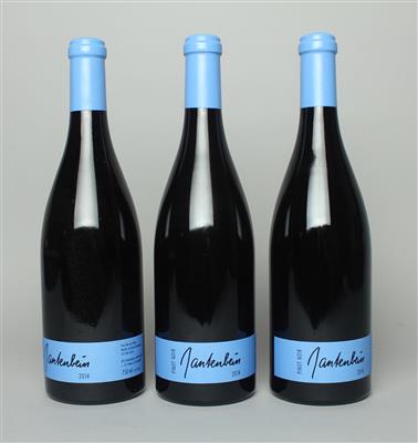 2014 Pinot Noir, Martha und Daniel Gantenbein, Graubünden,  94 Cellar Tracker-Punkte, 3 Flaschen. - Die große DOROTHEUM Weinauktion powered by Falstaff