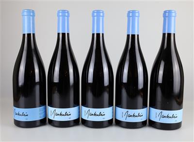 2007, 2008, 2009, 2010, 2011 Pinot Noir, Martha und Daniel Gantenbein, Kanton Graubünden, 95 Parker-Punkte, 5 Flaschen - Vini e spiriti