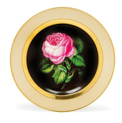 A botanical plate "Rosa centifolia", - Sklo, Porcelán