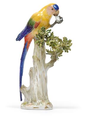 A Parrot Perched on an Oak Trunk with Leaves, Holding a Fruit in its left Claws, - Vetri e porcellane