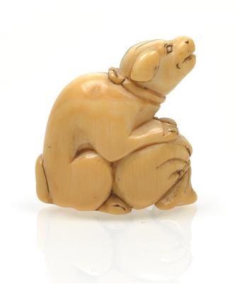 Netsuke eines Hundes - Asiatische Kunst