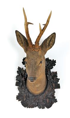 Hunting trophy, - Mobili rustici