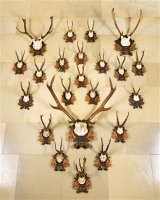 A Mixed Lot with 22 Hunting Trophies, - Nábytek