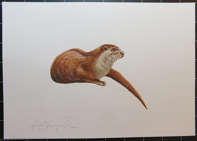 Vorlageentwürfe zu Tiermarken u.a. Otter (2 Formen), - Briefmarken