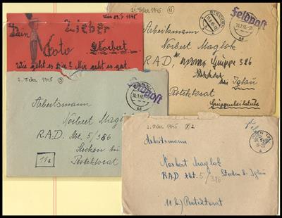 Poststück - Umfangreiche Ausstellungs/Forschungs - Francobolli