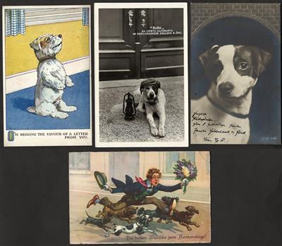 Poststück - Partie Motivkarten "Hunde", - Motiv- und Ansichtskarten