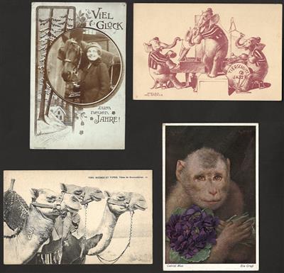 Poststück - Partie Motivkarten "Tiere"u.a. mit Pferden, - Stamps