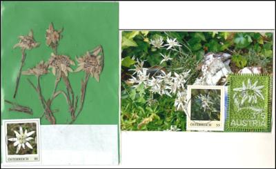 Poststück - Motivsammlungen Alpenblumen auf AK, - Briefmarken und Ansichtskarten