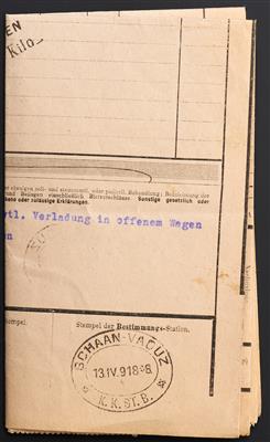 Liechtenstein Poststück - 1918 Frachtbrief - Známky