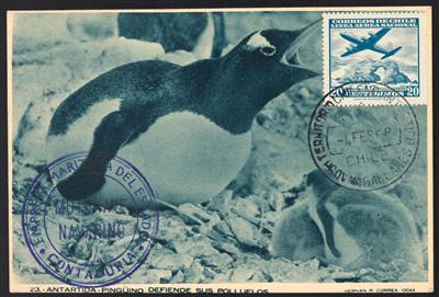 Poststück - Partie Poststücke Bezug Antarktis mit Falkland Dependency - South Georgia - Chile mit Stationspost, - Známky