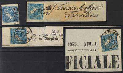.gestempelt/Briefstück/Poststück - Spezialsammlung Österr. d. Nr. 6 (Blauer Merkur) - div. Farbnuancen, - Briefmarken
