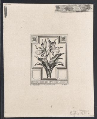 (*) - Österr. 1948 - Heimische Blumen - Phasendruck des NICHT VERAUSGABTEN Motivs "Frauenschuh", - Stamps