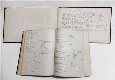 Genealogie, - Autografi, manoscritti, atti