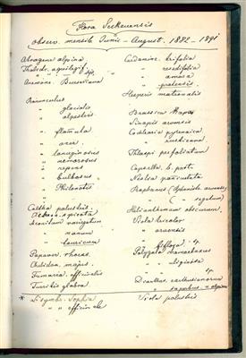 Pernhoffer, Gustav v., - Autografi, manoscritti, atti