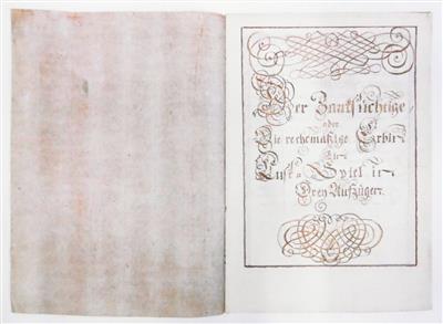 Steinsberg, - Autografi, manoscritti, atti