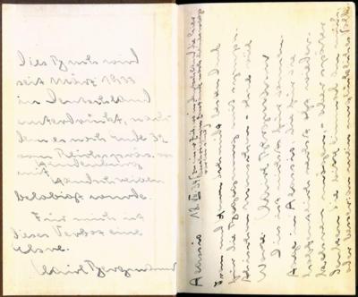 Bergmann, Claire, - Autographs, manuscripts, documents