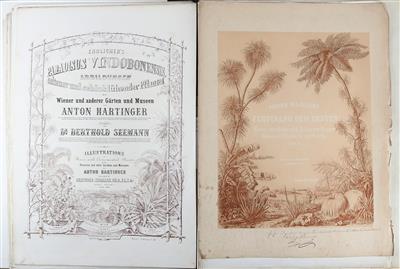 HARTINGER, A. - Books and Decorative Prints