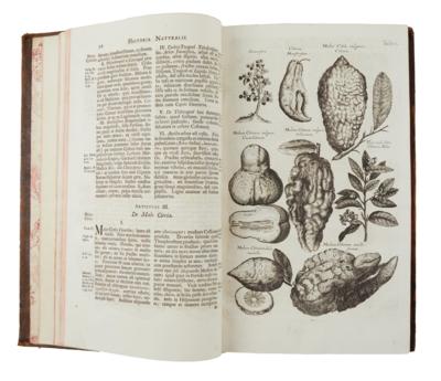 JONSTON / MERIAN: "HISTORIAE NATURALIS DE ARBORIBUS ET PLANTIS." - Books and decorative graphics