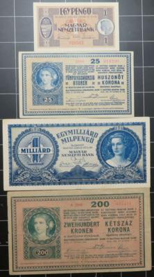 Papiergeld Ungarn (ca. 103 Stück) - Monete e medaglie