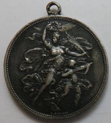 St. Pölten, II. niederösterreichisches Landesschießen 1882 - Mince a medaile