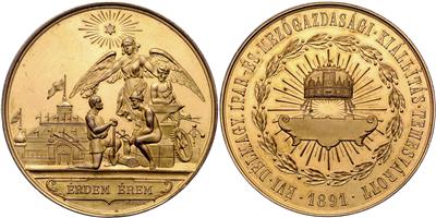 Franz Josef I., Verdienstmedaille der südungarischen Gewerbe- und Landwirtschaftsaussttellung in Temesvar - Coins