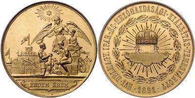 Franz Josef I., Verdienstmedaille der südungarischen Gewerbe- und Landwirtschaftsausstellung in Temesvar - Münzen, Medaillen und Papiergeld