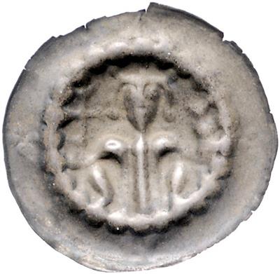 Mühlhausen, Albrecht der Unartige von Thüringen 1262-1294 - Münzen und Medaillen