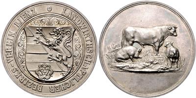 Franz Josef I. / Lienz - Münzen und Medaillen