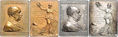 66. Versammlung deutscher Naturforscher und Ärzte in Wien 1894 - Mince, medaile a bankovky
