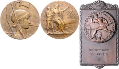 Medaillen und Plaketten - Mince a medaile