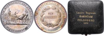 Landwirtschaftlicher Bezirksverein in Feldsberg (heute Valtice) - Mince, medaile a papírové peníze