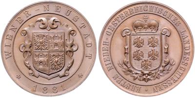 Wiener Neustadt, 1. NÖ. Landesschiessen 1881 - Monete e medaglie