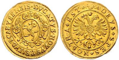 Schaffhausen GOLD - Coins and medals