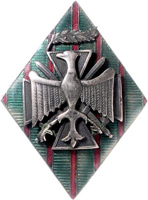 Polnische Armeee in Frankreich 1917 (Bayonne) - Orden und Auszeichnungen
