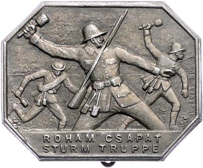 Roham Csapat / Sturm - Truppe, - Orders and decorations
