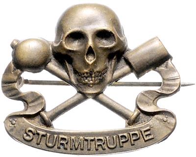 Sturmtruppe, - Řády a vyznamenání
