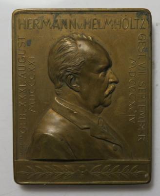 Hermann von Helmholtz, 66. Versammlung deutscher Naturforscher und Ärzte in Wien - Coins and medals
