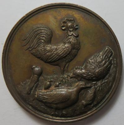 Erste österr.-ung. Geflügelzuchtverein - Münzen und Medaillen