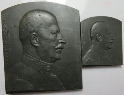 Freiherr von Georgi, 10jähriges Dienstjubiläum als k. k. Landwehrminister (2 Stk.) - Coins and medals