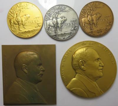 Medaillen und Plaketten (5 Stk. AE) - Monete e medaglie