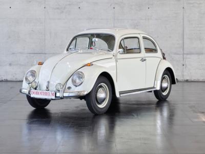1964 Volkswagen Typ 11 Export (ohne Limit / no reserve) - Classic cars