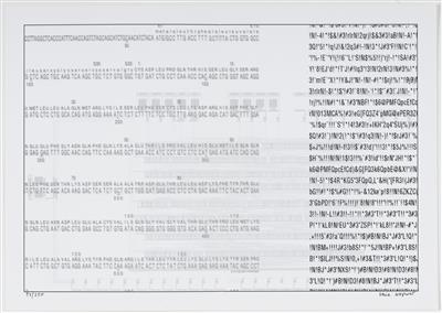 Valie Export * - Bilder