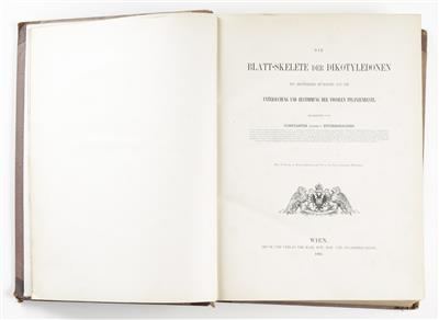 Buch: Constantin von Ettingshausen: Die Blatt-Skelette der Dikotyledonen, Wien, 1861 - Antiques and art