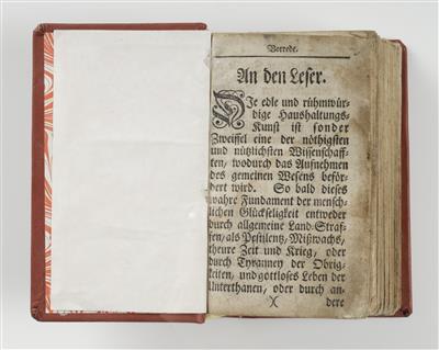 Kluger Haus-Vater, Anfang 18. Jahrhundert - Umění a starožitnosti